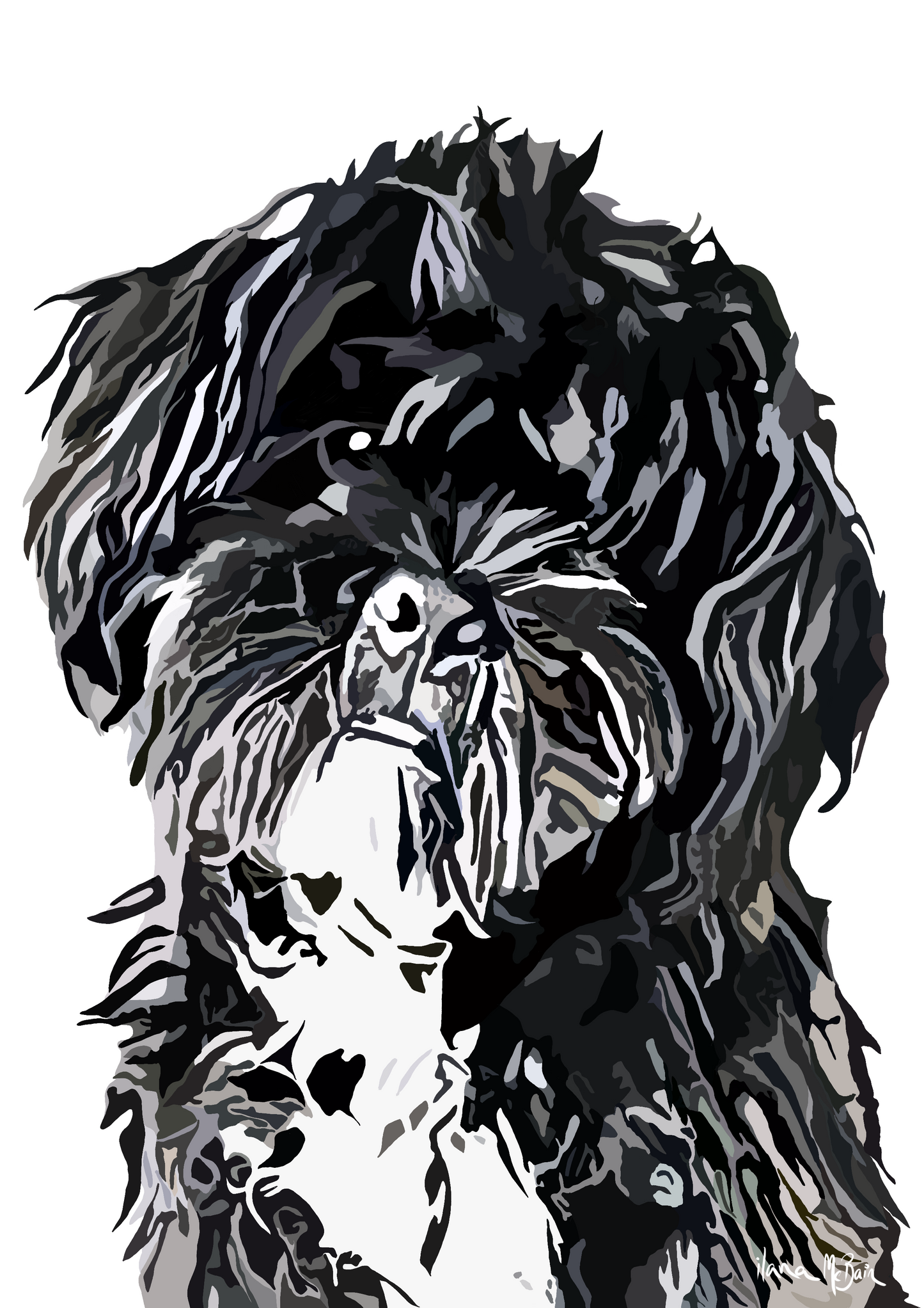 Custom Pop Art Portraits