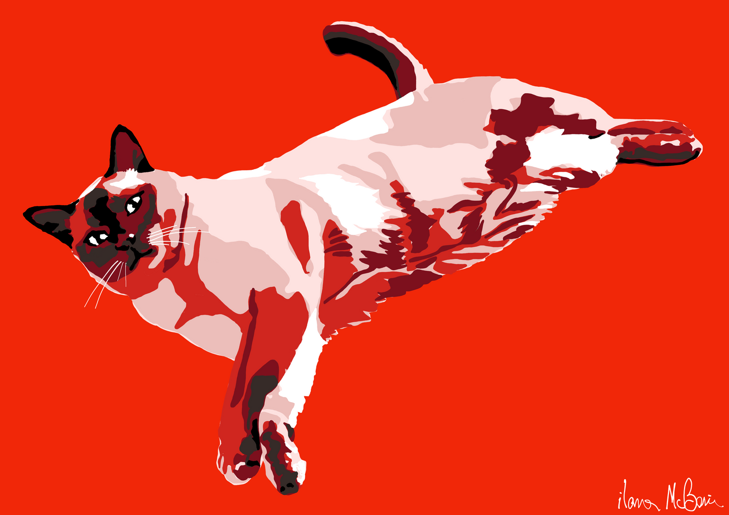 Custom Pop Art Portraits