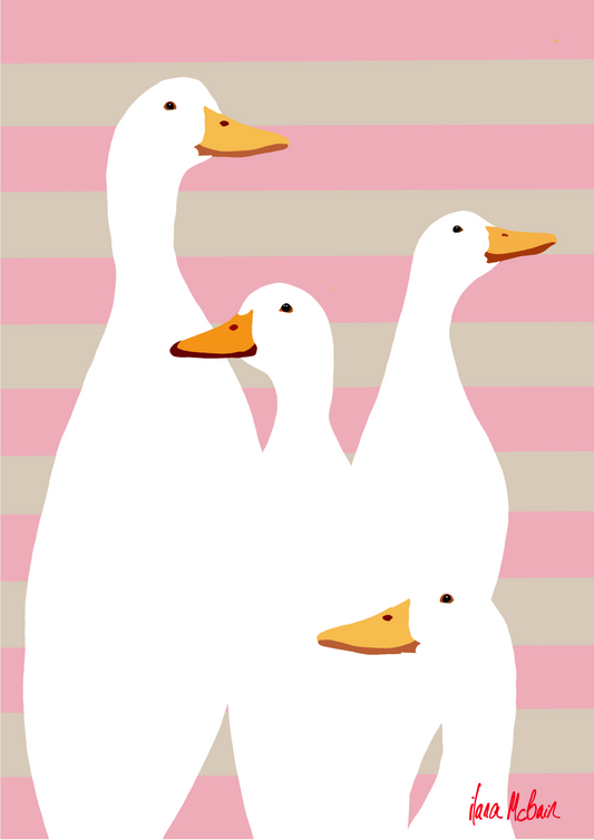 Four white ducks with orange beaks on a pink and beige striped background