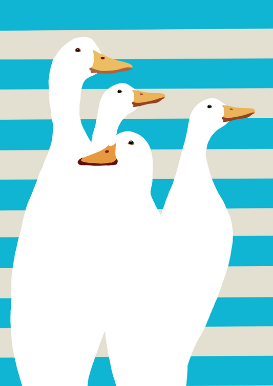 Four white ducks with orange beaks on a blue and beige striped background