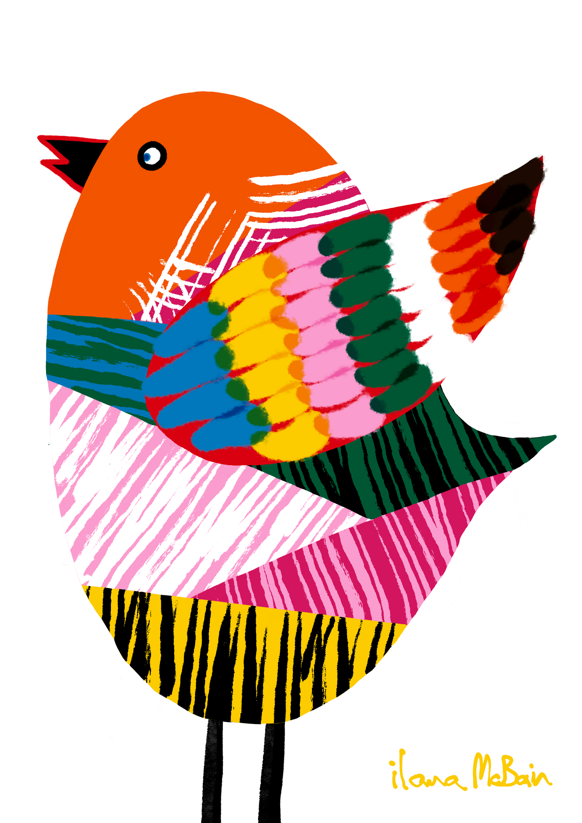 Colourful Bird Print By Ilana McBain 
