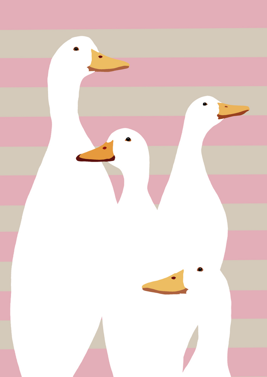 Four white ducks with orange beaks on a pink and beige striped background