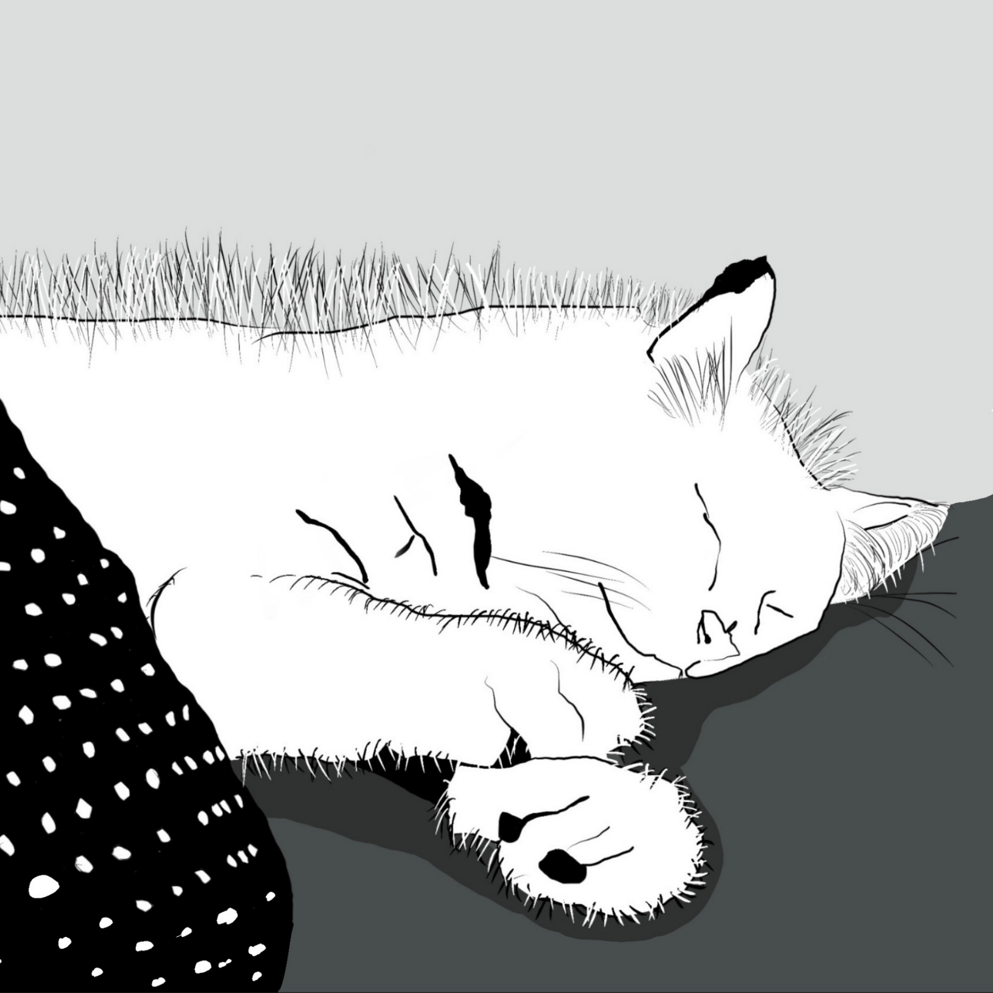 A sweet sleeping cat illustration 