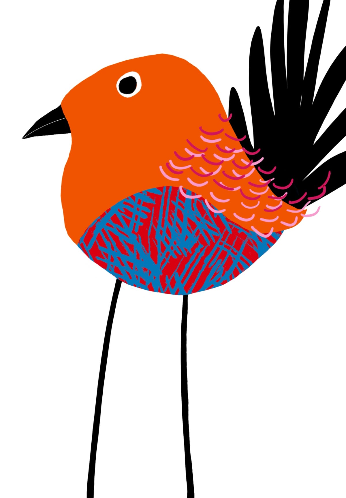 Feathered Serenity colourful bird art print by Ilana McBain featuring an orange bird with blue patterned feathers and a bold black tail.