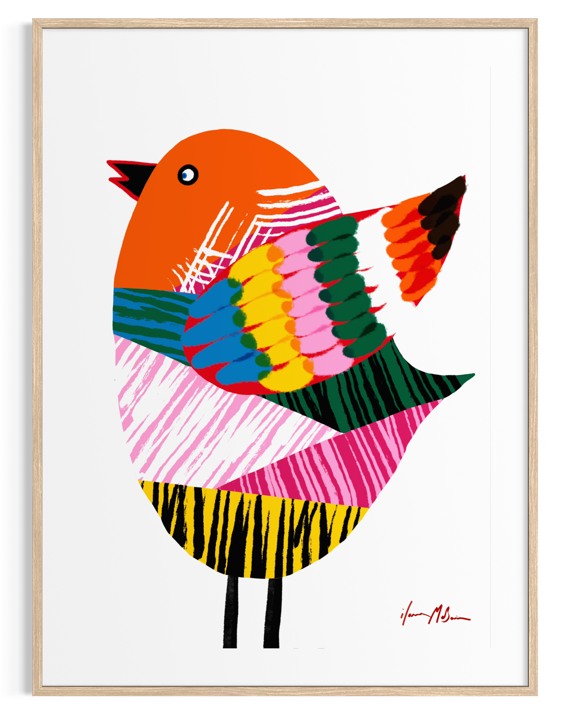 Flap Snap and Soar artwork by Australian artist Ilana McBain showing a bold colourful stylised bird with graphic feather patterns. Contemporary bird art print with playful modern design.
