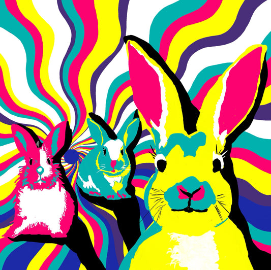 Rabbit Hole by Ilana McBain, colourful contemporary rabbit artwork featuring three expressive rabbits against bold swirling pink, yellow, teal and purple forms.
