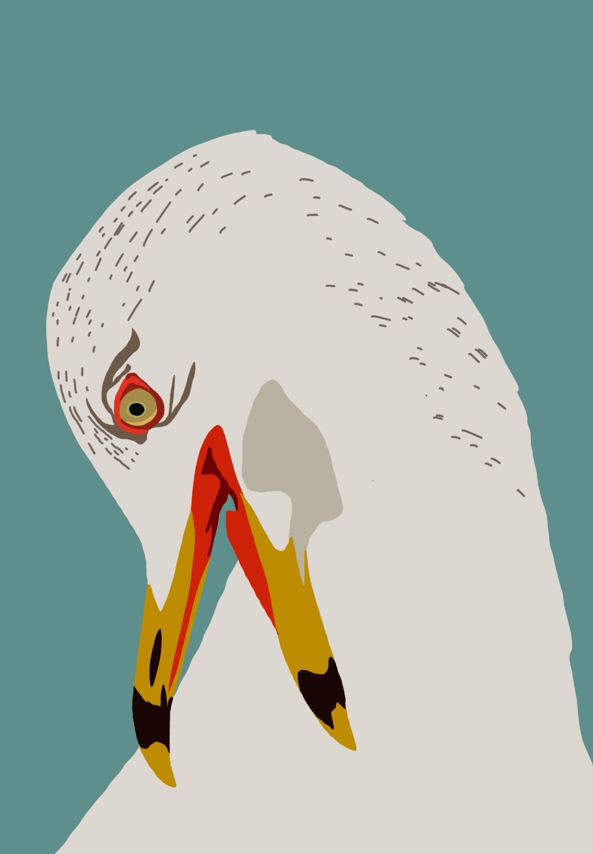 Lost in Thought contemporary seagull art print by Ilana McBain featuring a close-up white gull portrait with a lowered gaze on a muted teal background.