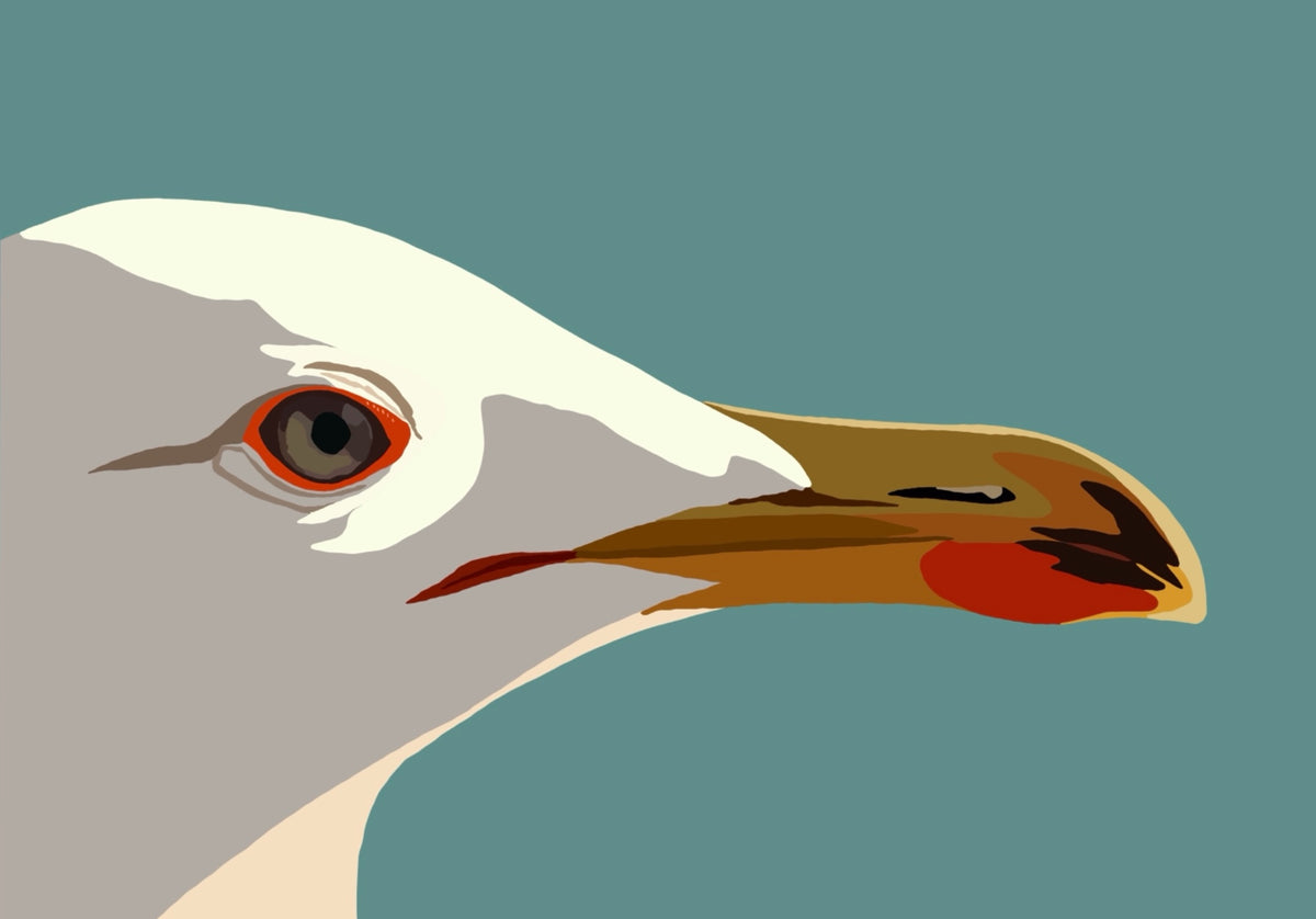 Side Eye contemporary seagull art print by Ilana McBain featuring a close-up gull profile in cream, grey and ochre against a muted teal background.