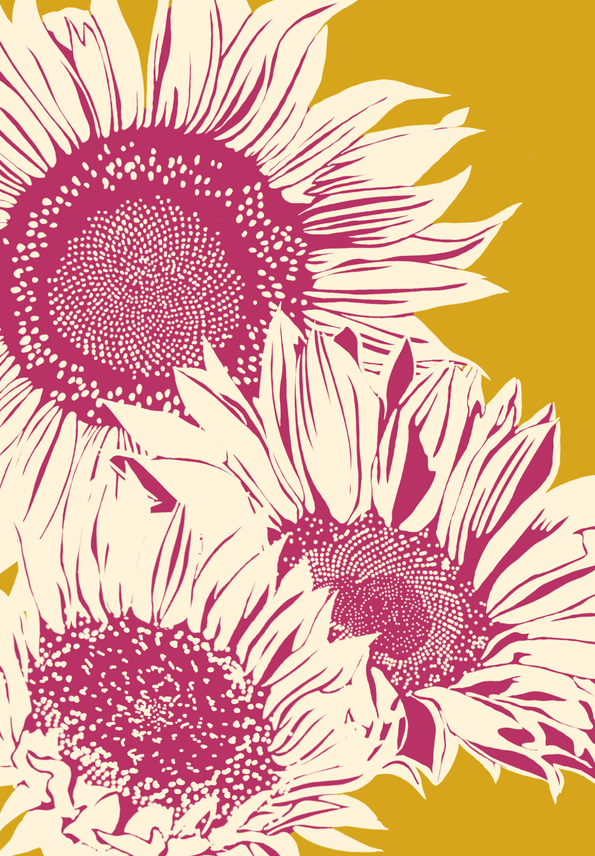 Sunflower State of Mind contemporary sunflower art print by Ilana McBain featuring oversized cream and raspberry sunflowers against a mustard yellow background.