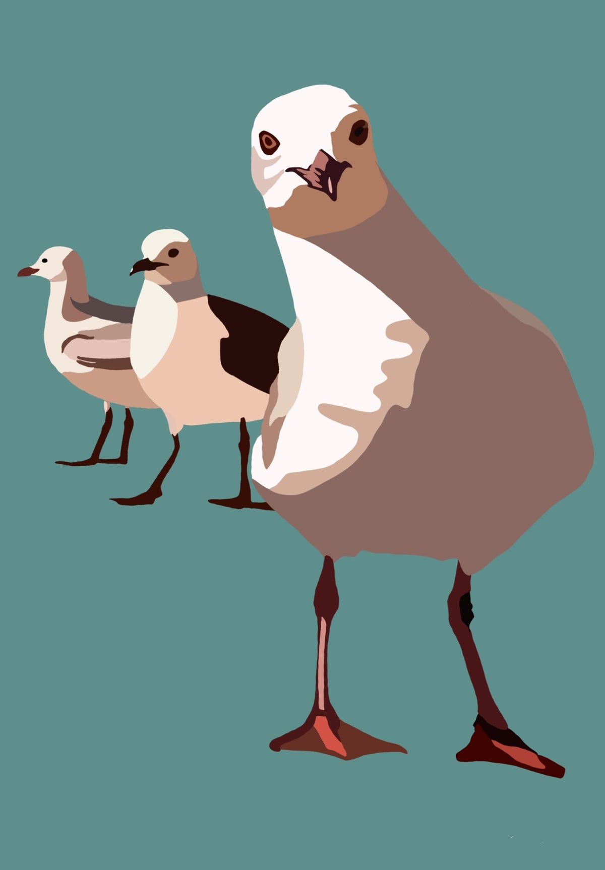 The Locals contemporary seagull art print by Ilana McBain featuring three expressive gulls in soft cream and neutral tones against a muted teal background.